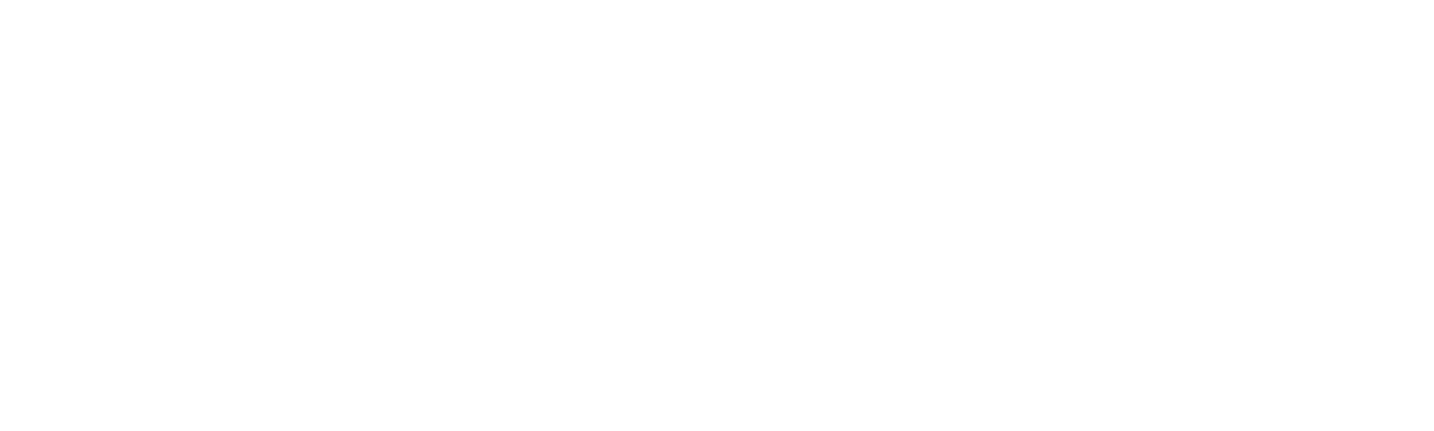 IT Vision Limited